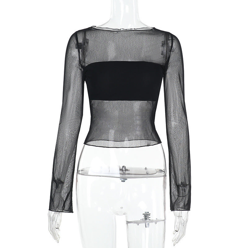 Long Sleeve Sheer Top