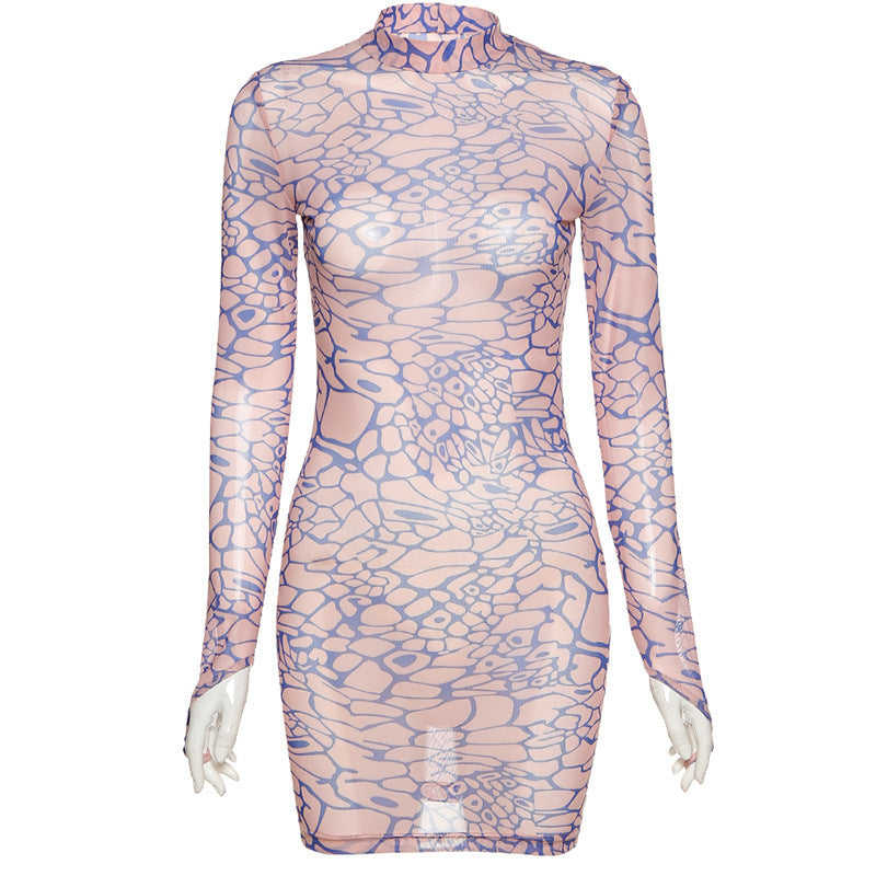 Mesh Bodycon Dress