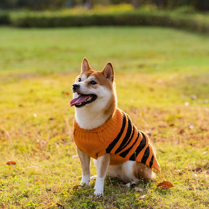 Cosplay Clothes For Dogs