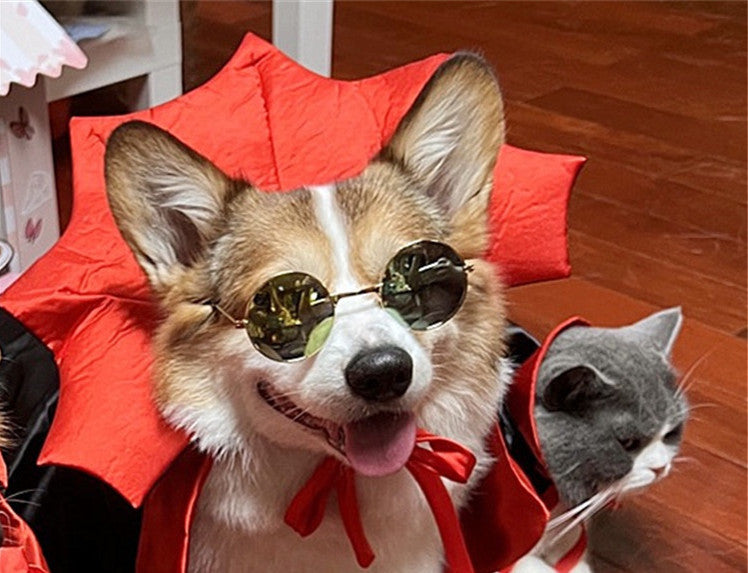 Vampire King Halloween Cosplay for Pets