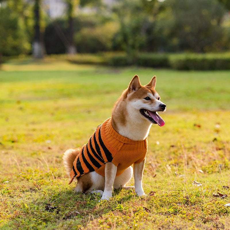 Cosplay Clothes For Dogs