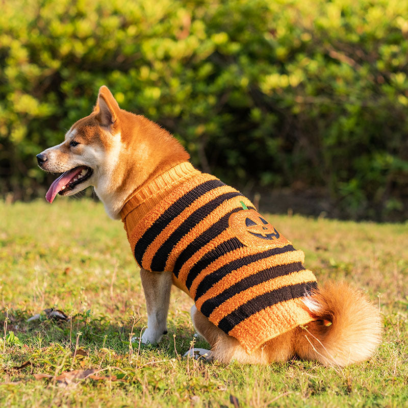 Cosplay Clothes For Dogs