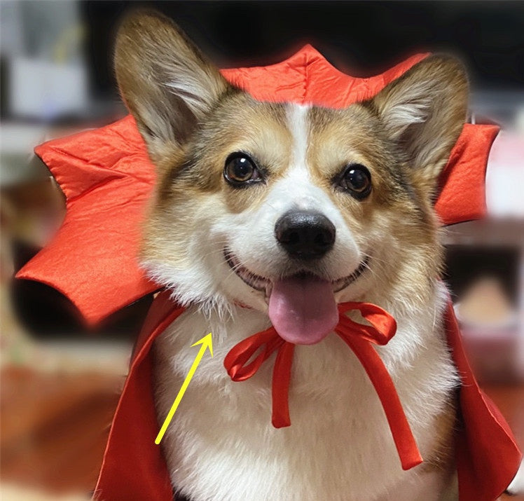 Vampire King Halloween Cosplay for Pets